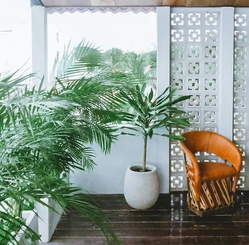 Hiphipstay - The Colonial 5* Tulum