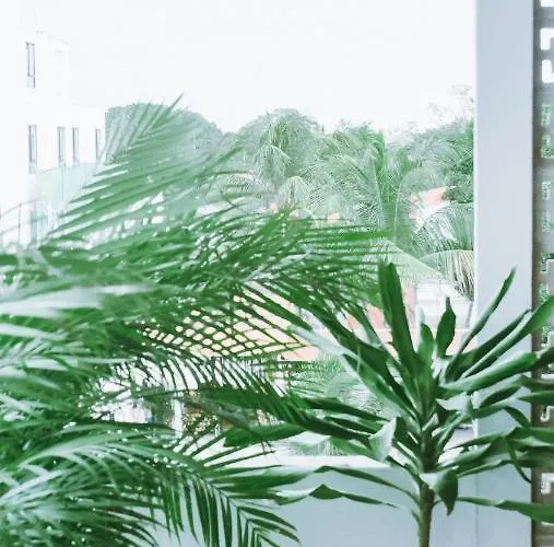 Hiphipstay - The Colonial 5* Tulum
